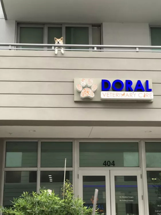 Doral Veterinary Care, Florida, Doral